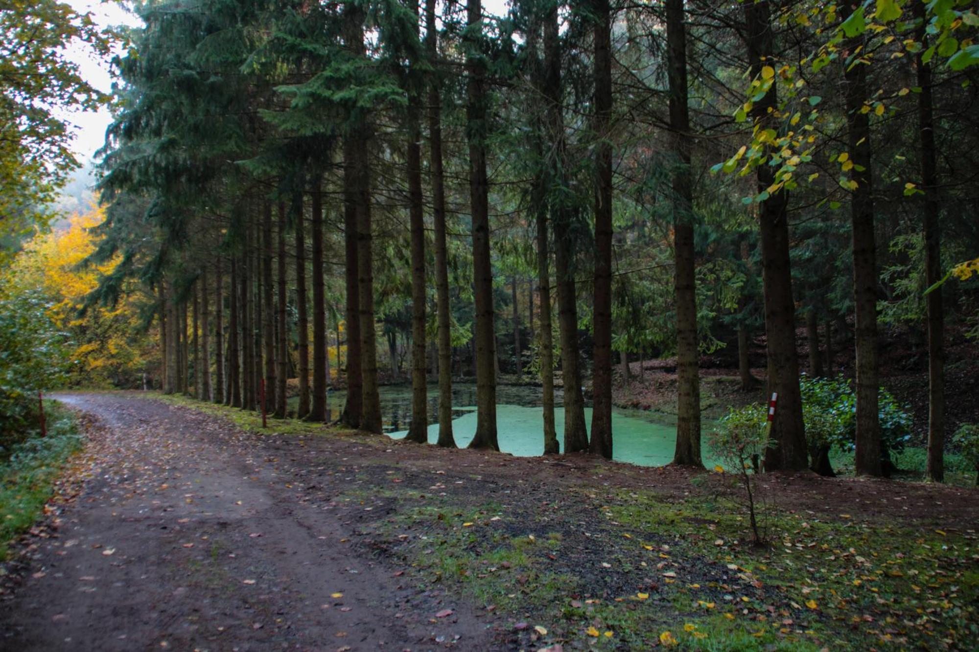 Fh "Baeren Ecke" Am See Im Hessischen Bergland Kirchheim unter Teck Zewnętrze zdjęcie